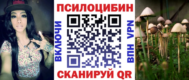 Галлюциногенные грибы Psilocybe  kraken как зайти  Новоульяновск 